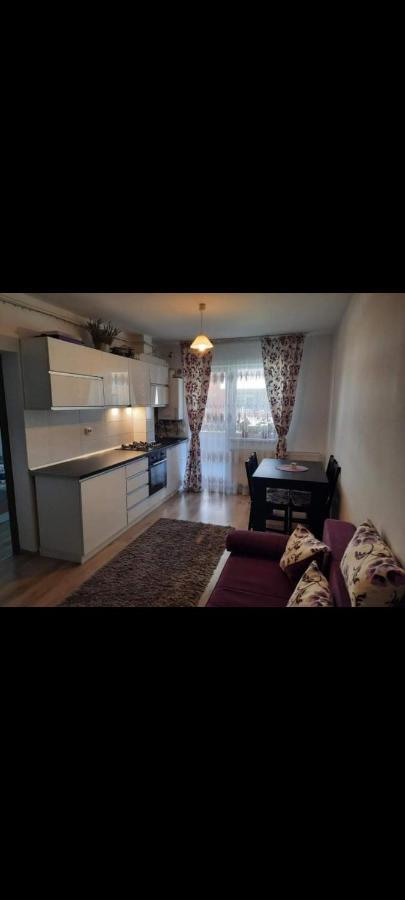 Diana Apartament Apartment Brasov Exterior photo
